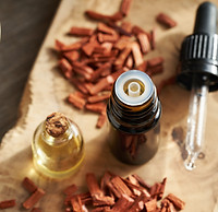 HACCA バストケアクリーム “UP” - 表参道の躰調律矯正サロン